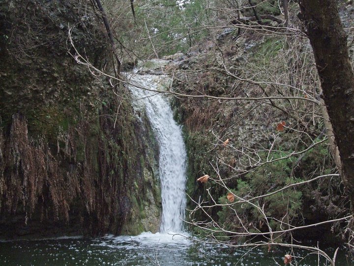 Prow'd House B&B Wimberley, Texas Visit Us