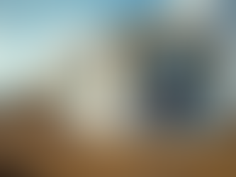 Why Homegenix Home Inspection LLC is the Leading Choice for Mobile Home Inspections