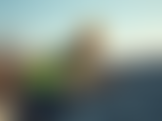 Your Trusted Home Inspector for Brooksville, Bradenton, Tampa, Largo, Seminole, Saint Petersburg, and Clearwater Florida