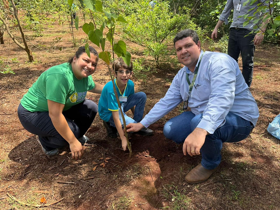 Projeto Reviva o Óleo: Sustentabilidade e Engajamento Comunitário na Prática