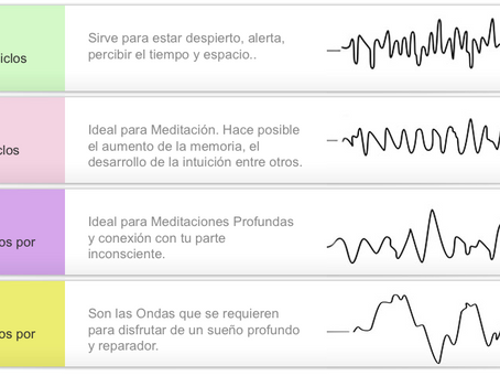 La Compresión de los Estímulos Cerebrales