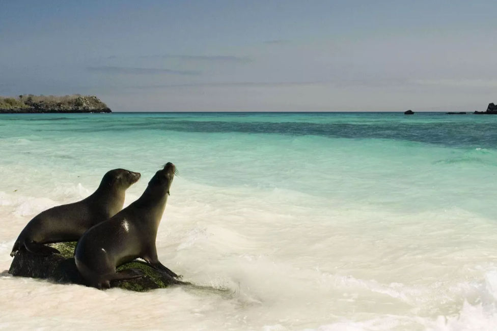 ile Galapagos