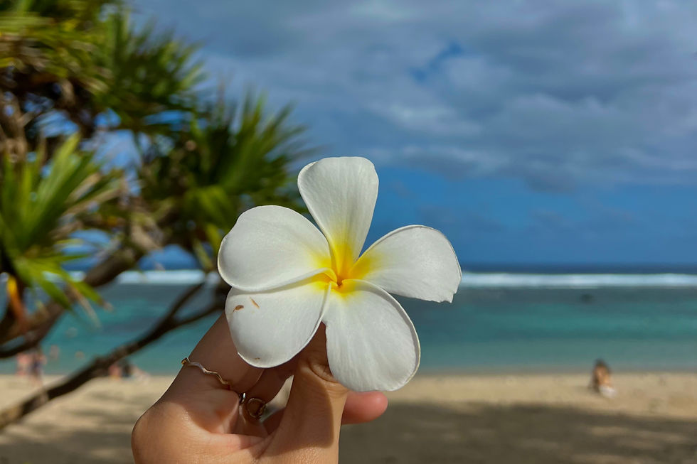 Photo prise sur la page de la reunion