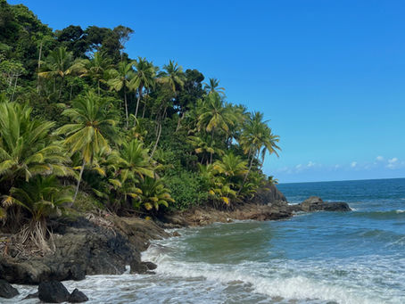 Voyage à petit budget avec sac à dos et paysage tropical en arrière-plan.