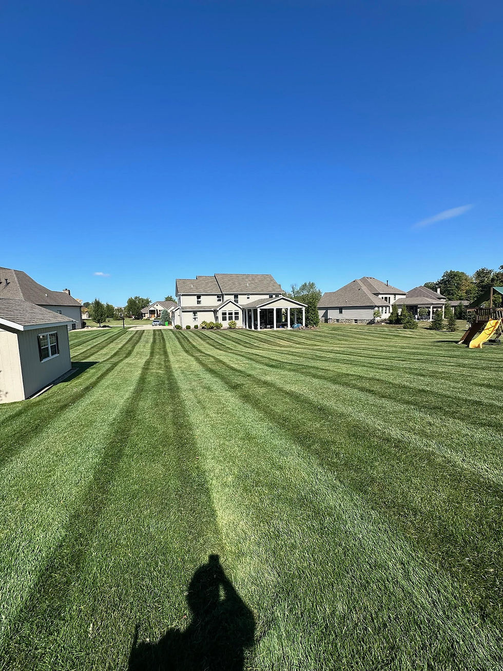 New Lawn Installation Care Guide