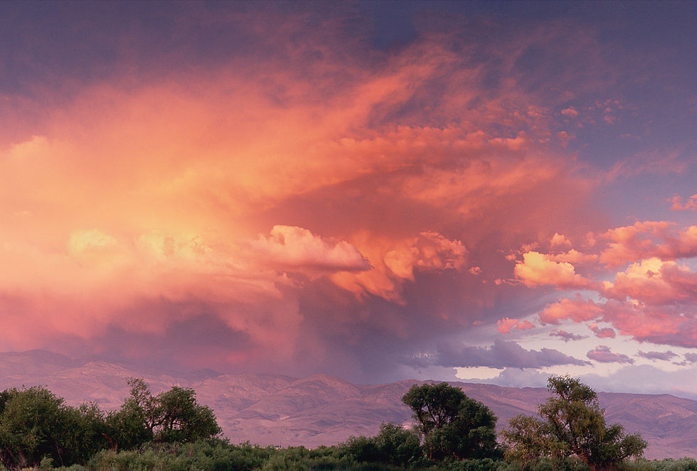 Owens River McKenzie_CROP2.jpg