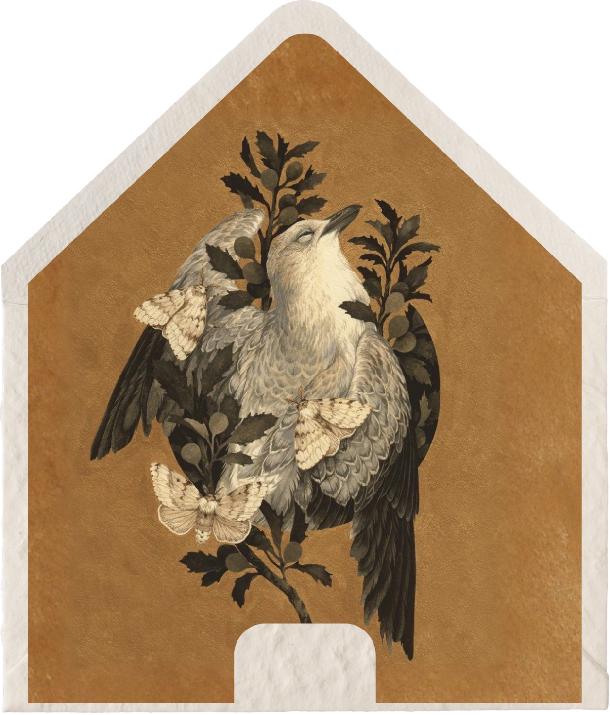 envelope liner.png