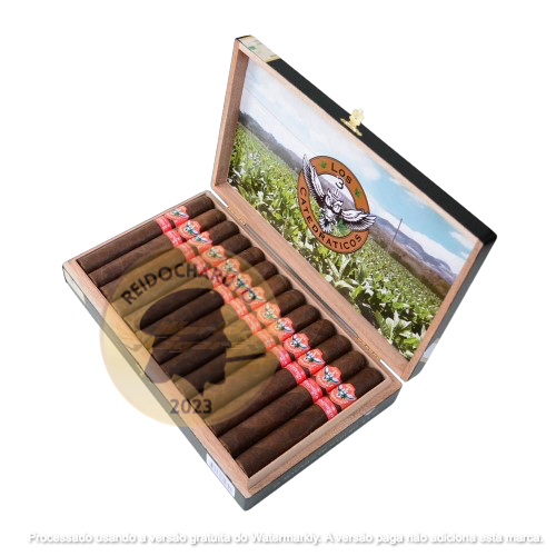 Charutos Los 3 Catedraticos: Onde Comprar