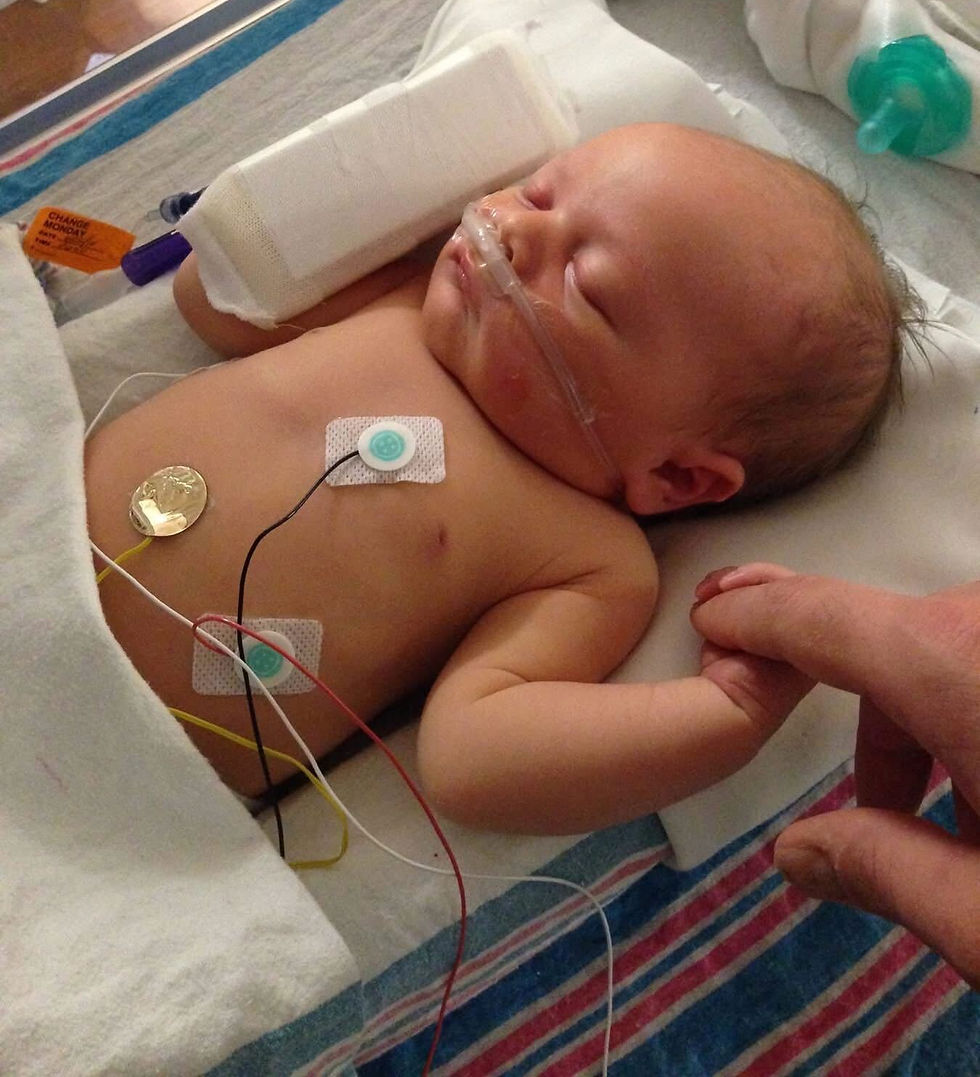 Image from iOS (2).jpg