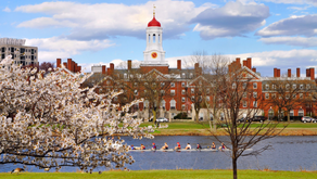 Are Ivy Leagues Worth It?