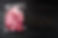 AdobeStock_478748606.jpeg