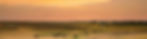 AdobeStock_483170998_edited_edited.jpg