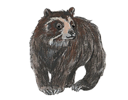 strooi brilbeer_edited_edited.png