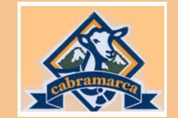 catphoto200912417318