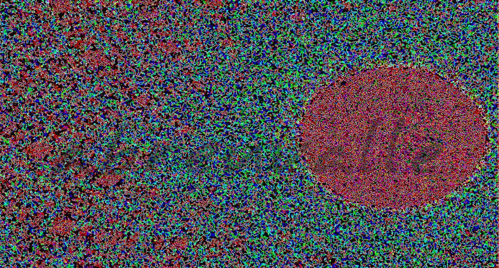 Abreuvalle_FlowerA5c_260x140cm_2013