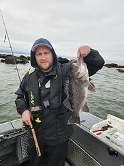 fish 14.jfif