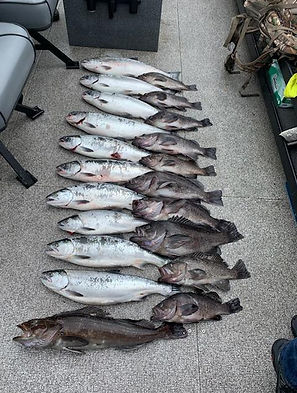 bottomfish 7.jpg