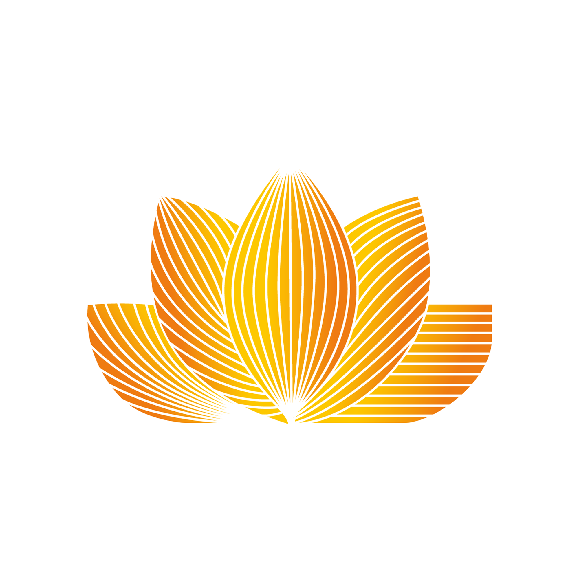 Writer: Activliving Physio