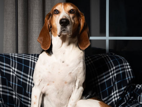 We Need to Talk: A Meeting Has Been Called