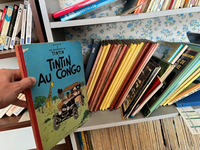 Grosse collection vieux TINTIN