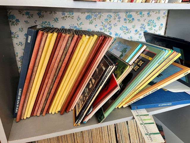Grosse collection vieux TINTIN