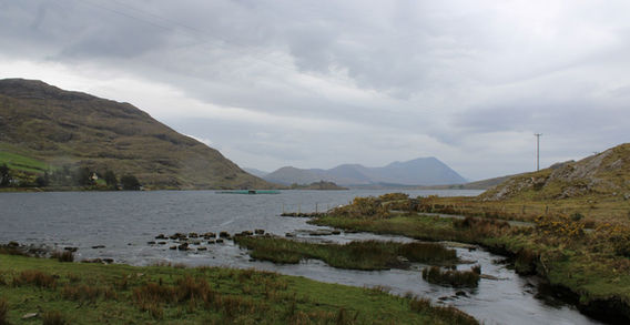 Rives en herbe et eaux calmes d'un lac du Connemara entouré de collines verdoyantes sous un ciel nuageux, Irlande.