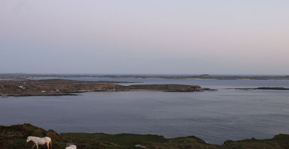 Vue en contre-plongée depuis la Sky Road sur deux chevaux dans une prairie côtière face à l'océan Atlantique et aux îles du Connemara.