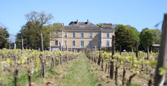 Façade du Château du Cléray dominant les rangs de vignes au printemps sous un ciel bleu à Vallet.