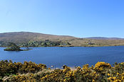 IMG_6993-2.jpg
