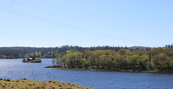 Lac du Connemara bordé d'une rive boisée de forêts et d'une rive de tourbière sous un ciel voilé en Irlande.
