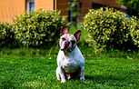 IMG_7890.jpg