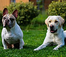 IMG_7911-2.jpg