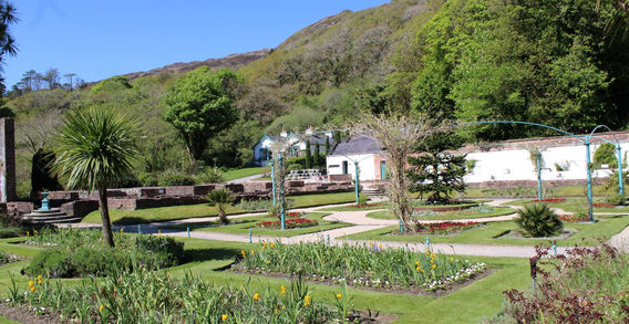 Un grand jardin victorien aménagé avec un palmier au premier plan, des parterres de plantes et des bâtiments de briques blanches au pied de collines boisées à l'abbaye de Kylemore.