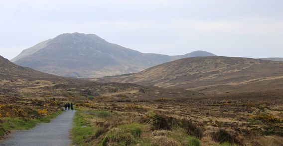 Sentier de randonnée en pierre menant vers le sommet rocheux de Diamond Hill sous un ciel nuageux dans le Parc National du Connemara.
