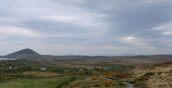 Vaste étendue de landes et de tourbières sombres s'étendant vers une montagne isolée sous un ciel couvert dans le Connemara.