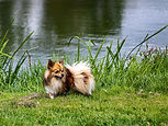 IMG_8233.jpg