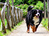 IMG_7939.jpg