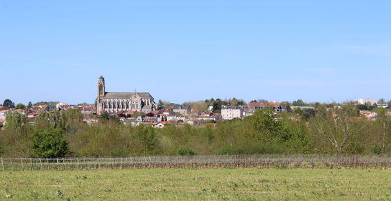 Vue panoramique sur l'église Notre-Dame de Vallet s'élevant au-dessus du bourg et des vignobles sous un ciel bleu.