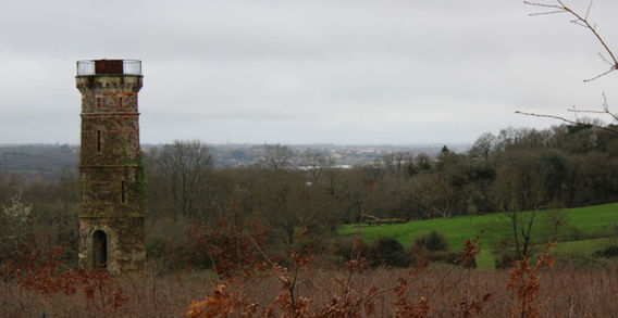 Panorama au Cellier : tour ancienne et nature préservée, une vue emblématique du patrimoine du vignoble nantais.