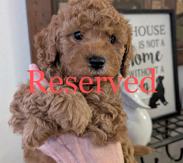 Attach0_20241201_230015_edited_edited.jp