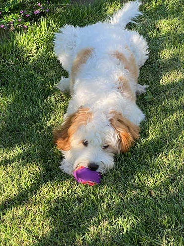 Enjoying the day