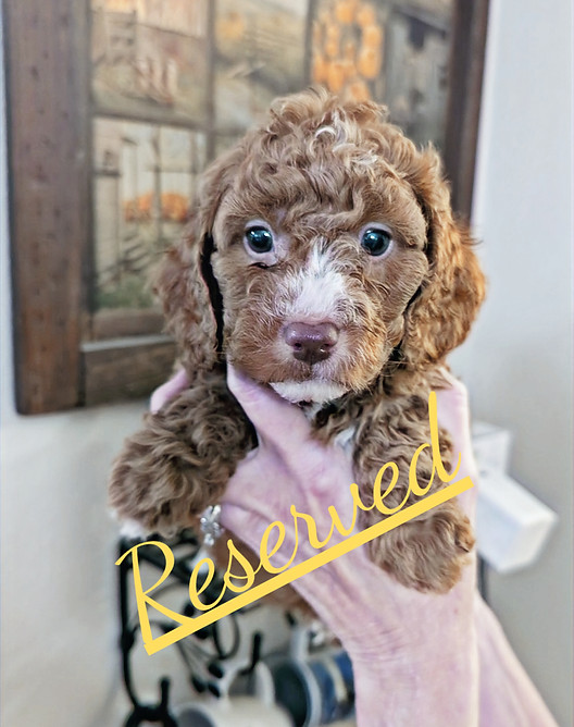 Attach0_20241201_230017_edited_edited_ed