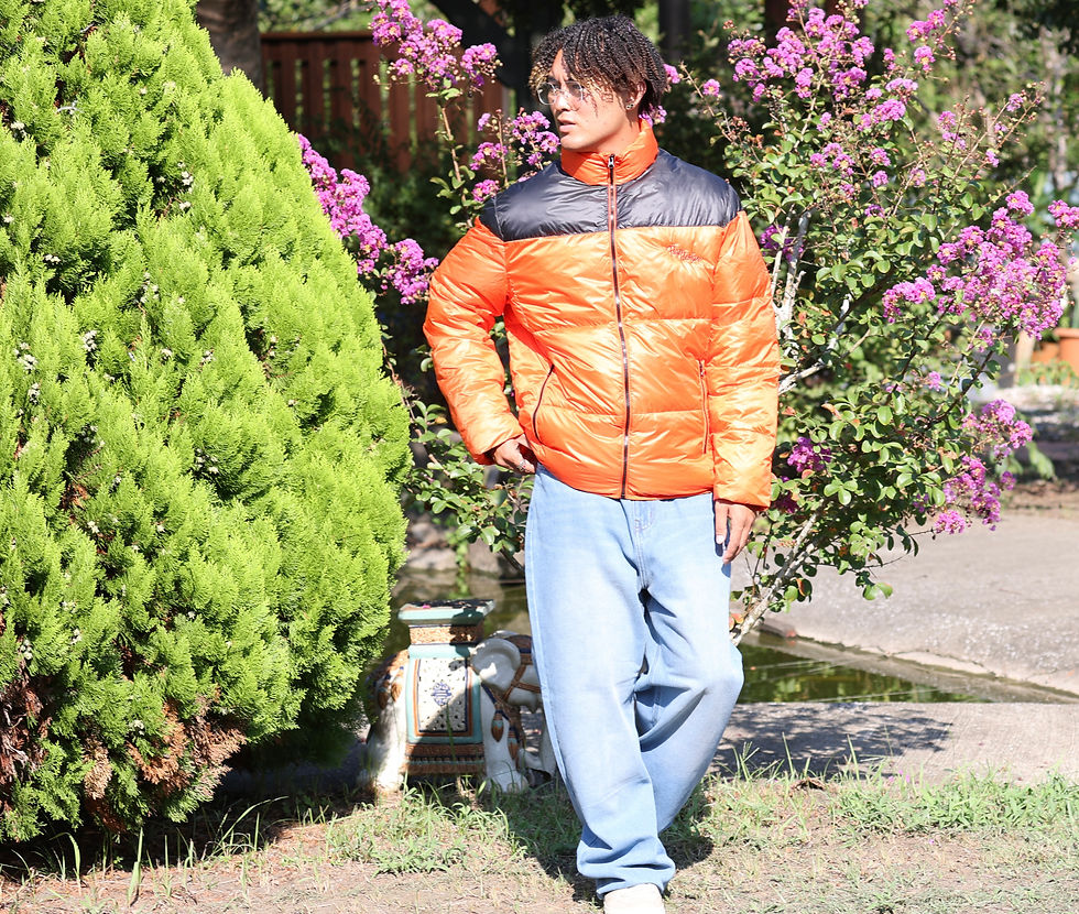 サムネイル： FJK-DOWN-B