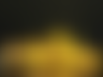 Sightseeing Budapest