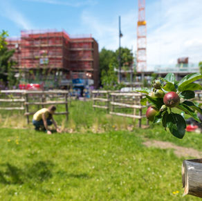 [Ep.19] Brixton Orchard