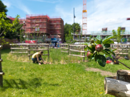 [Ep.19] Brixton Orchard