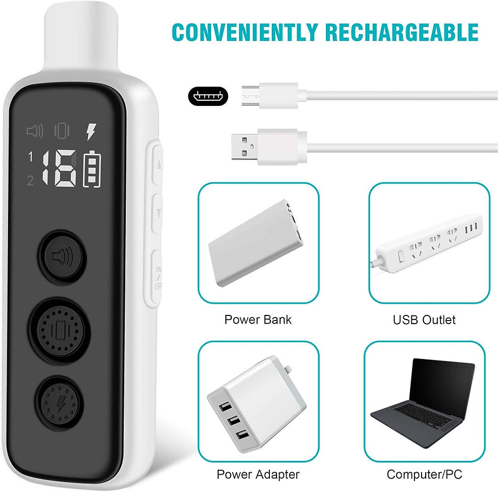 Thumbnail: Rechargeable device with power bank, USB outlet, adapter, and laptop