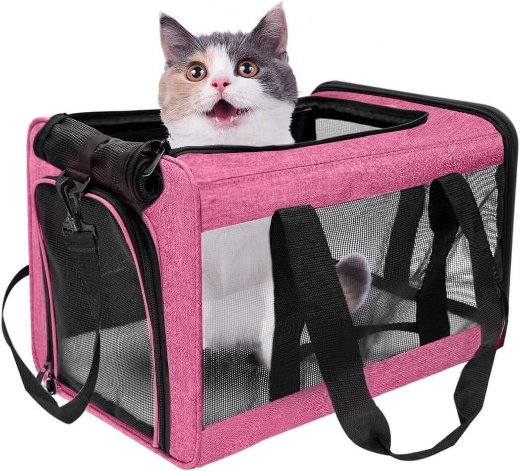 Cat in pink carrier