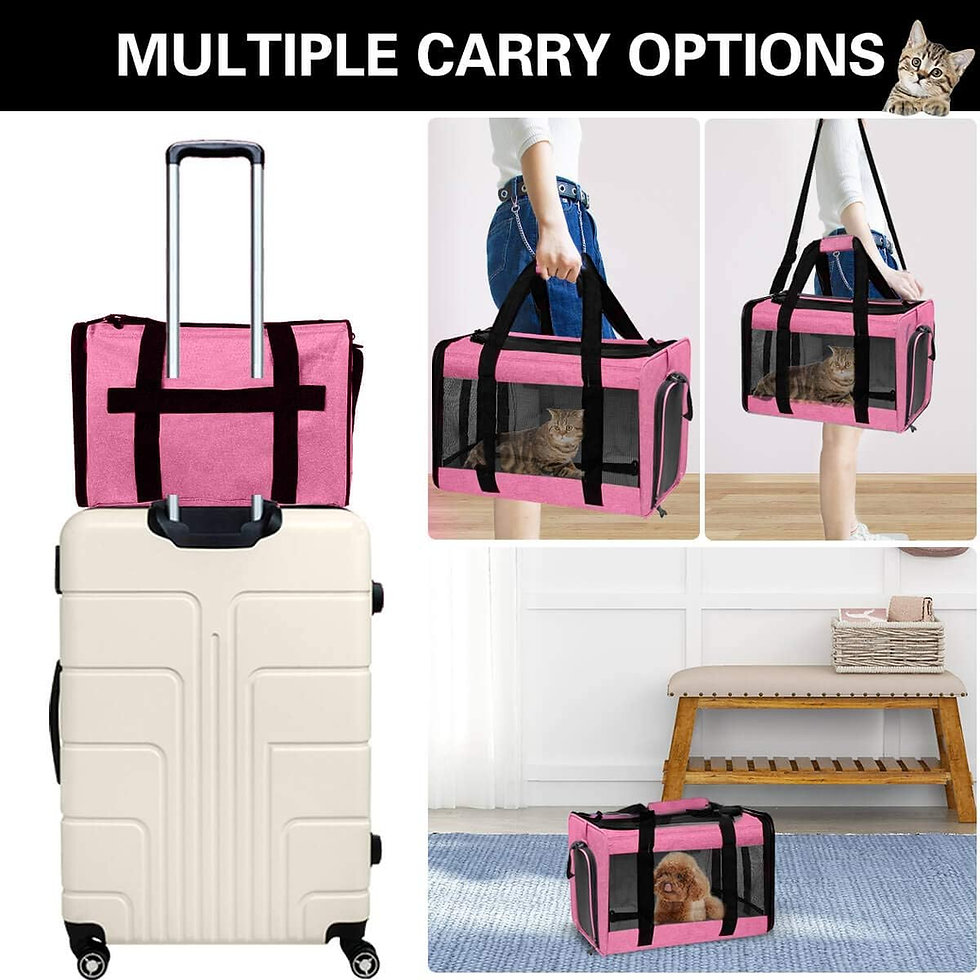 Thumbnail: Pink pet carrier with multiple carry options