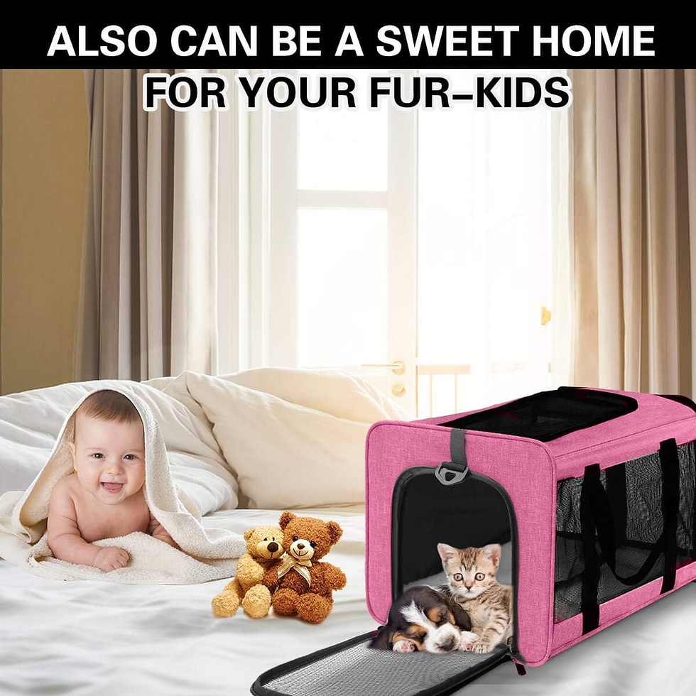 Thumbnail: Baby and kittens in pet carrier.